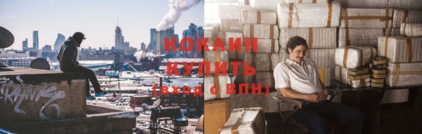 гидра Белокуриха