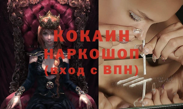 гидра Белокуриха