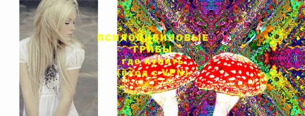 твердый Белоозёрский