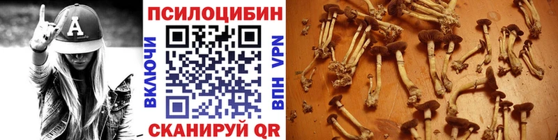 Псилоцибиновые грибы прущие грибы  кракен рабочий сайт  Заринск 